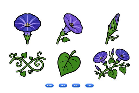 Download Purple Morning Glory Clipart Set - Premium Resources